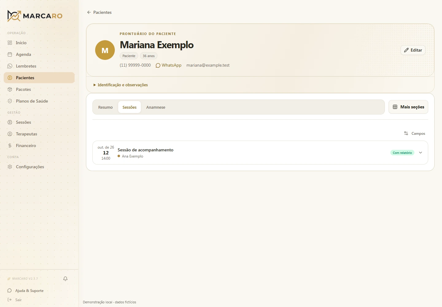 Registros de sessões e acompanhamento — dados fictícios